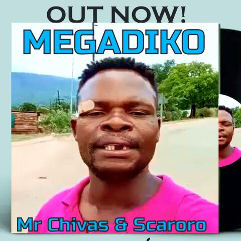 Megadiko