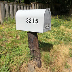 walking outside to get the mail