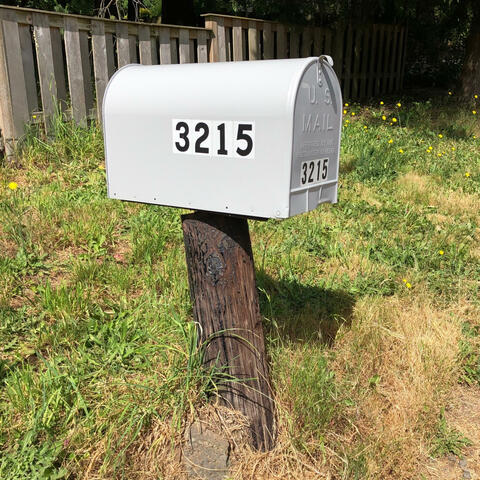 walking outside to get the mail