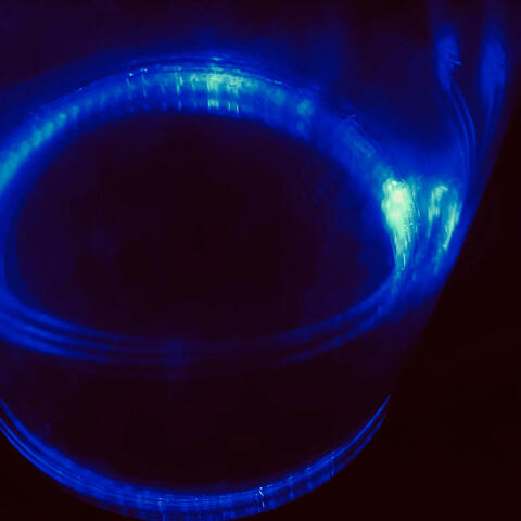 Experiments in Reverse, Vol. 1