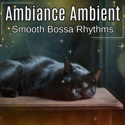 Smooth Bossa Rhythms