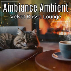 Velvet Bossa Lounge