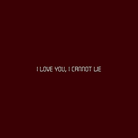 I Love You, I Cannot Lie