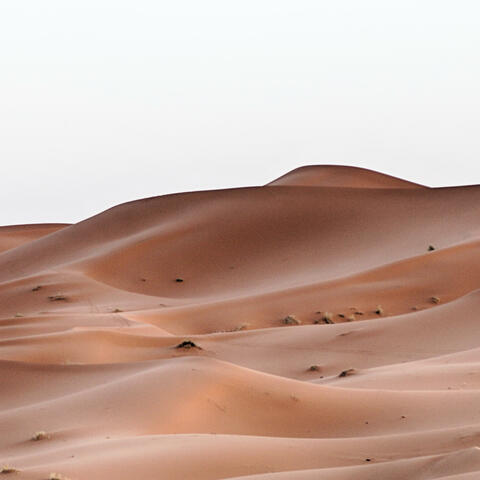 Desert || Dark Trap Beat