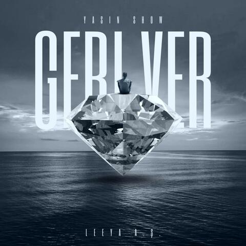 Geri ver