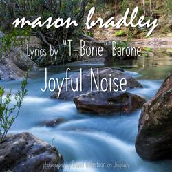 Joyful Noise (feat. T-Bone Barone)