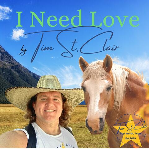 I Need Love