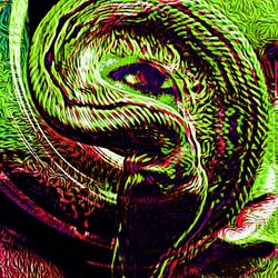 Medusa