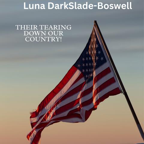 Their Tearing Down Our Country!