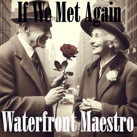 If We Met Again