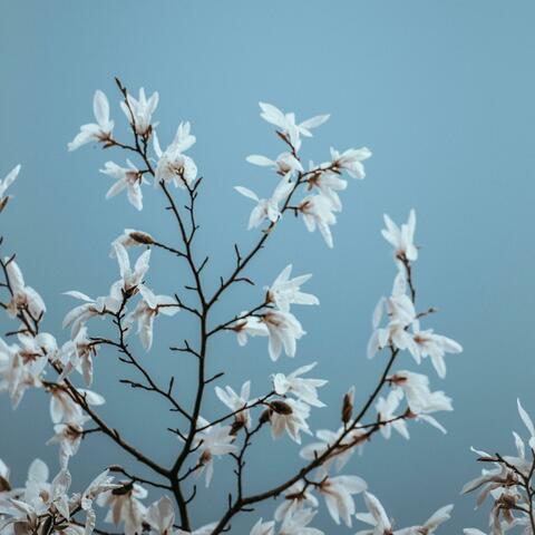 Piano K-Pop Album #21