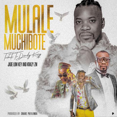 Mulale muchibote (feat. Krazy zm)