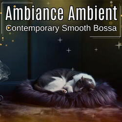 Contemporary Smooth Bossa