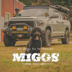 All Dogs Go To Heaven