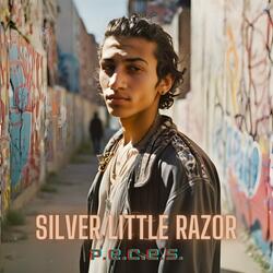 Silver Little Razor