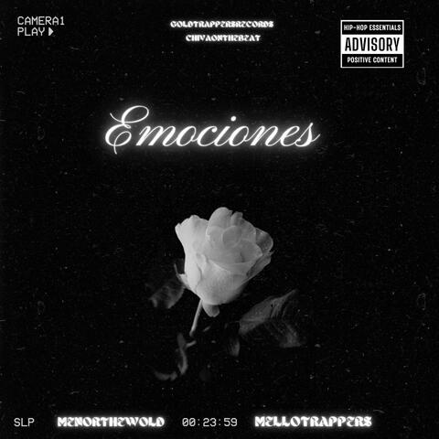 Emociones X MenorThewold