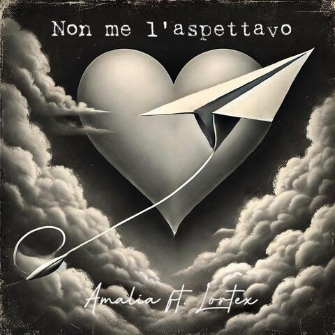 NON ME L'ASPETTAVO (feat. Lortex)