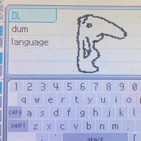 Dum Language
