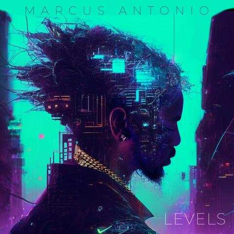 LEVELS