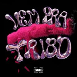 MEGA FUNK VEM PRA TRIBO