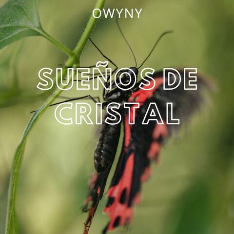 Sueños de Cristal