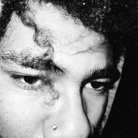 Up in Smoke