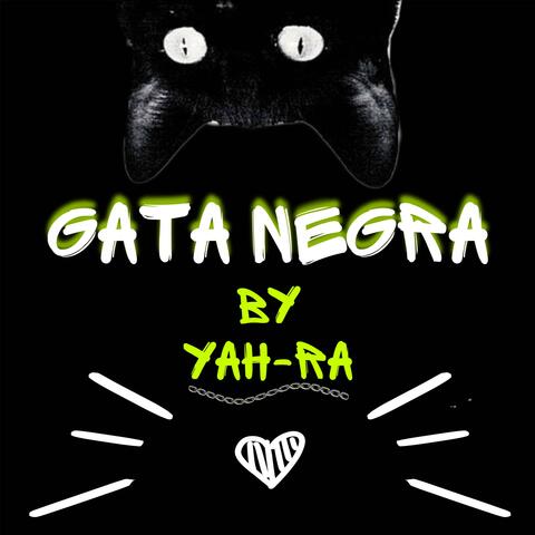 GATA NEGRA