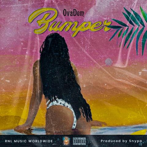 Bumper