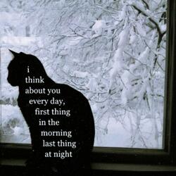 falling apart 4 u