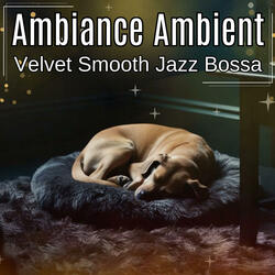 Velvet Smooth Jazz Bossa