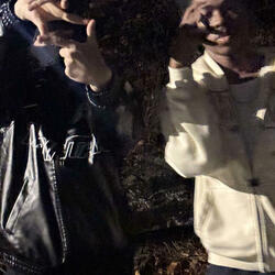 FREESTYLE Z