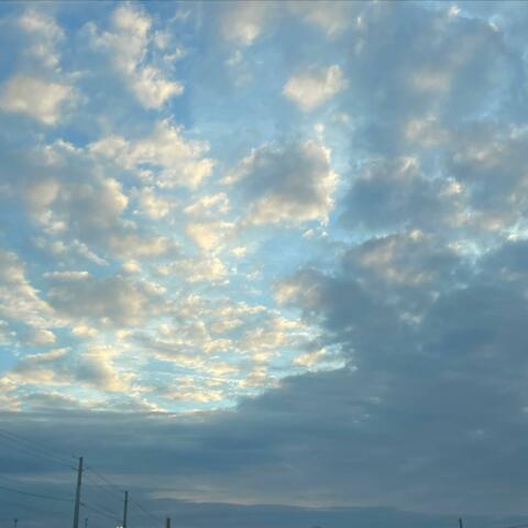 THE M!DDLE (feat. Fishcakes)