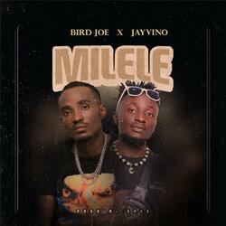 Milele (feat. Jayvino) (Vocals)