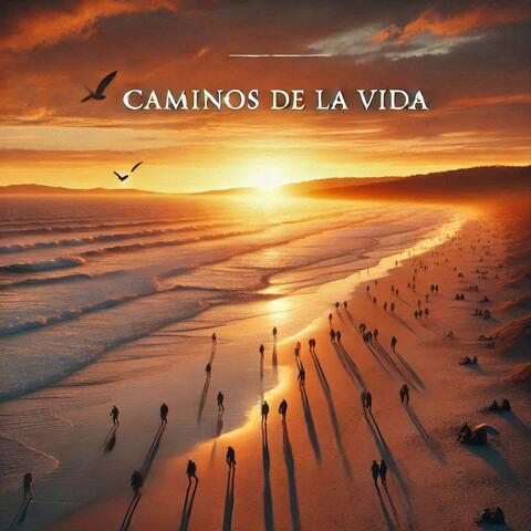 Caminos de la vida