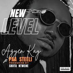 New Level (feat. Paa Steeli)