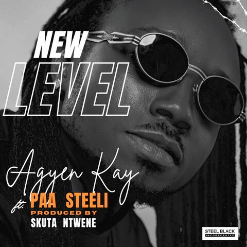 New Level (feat. Paa Steeli)