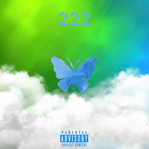 222