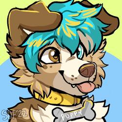 Take Me Home to Alabama (Furry Edition)