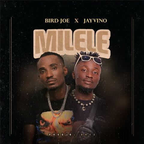 Milele (feat. Jayvino)