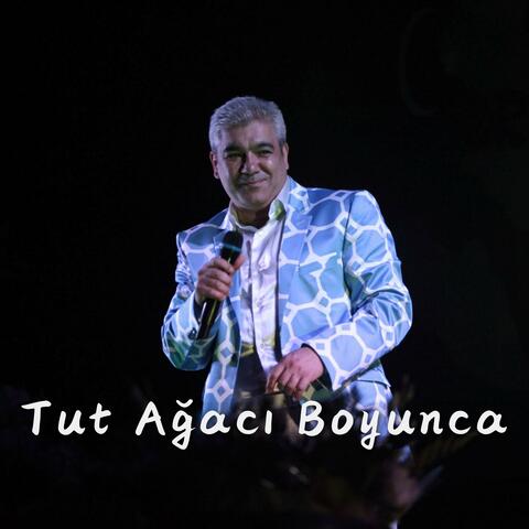 Tut Ağacı Boyunca