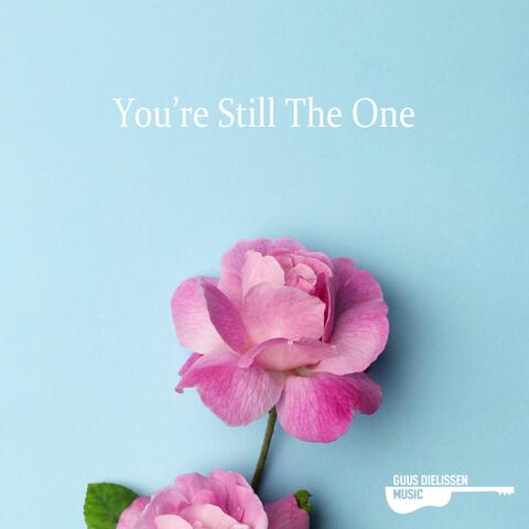 You're Still The One (acoustic instrumental)