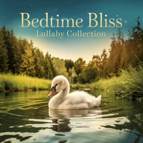 Bedtime Bliss Baby Sleep Lullaby Collection