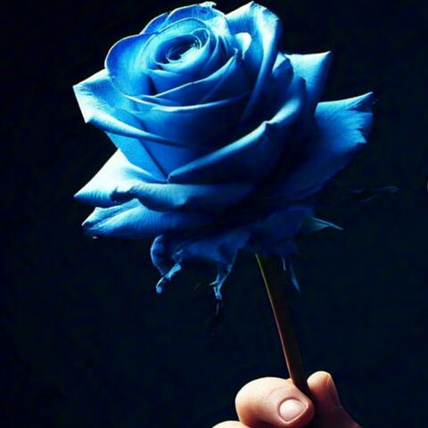 Bring me a Blue Rose