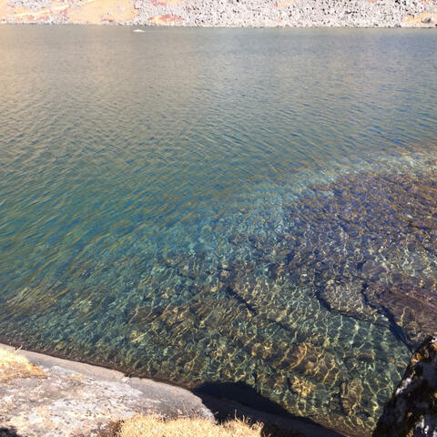 Calm pond Tranquilo