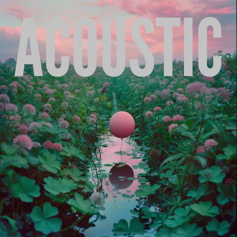 Acoustic Vibes, Vol. 1