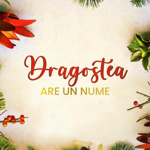 Dragostea are un nume
