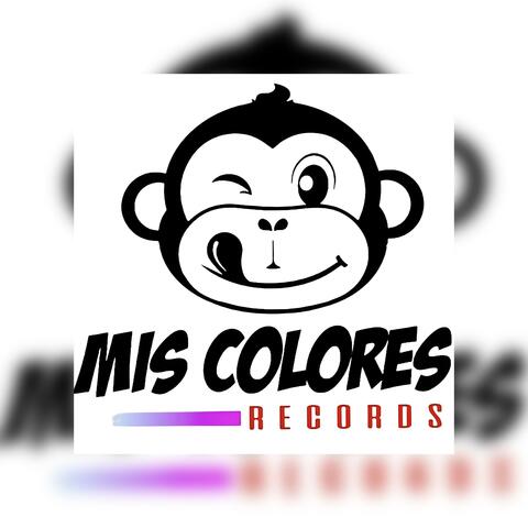 Jeite Flow - Bolsa X Mis colores Records
