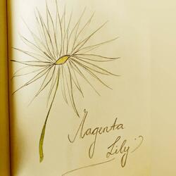 Magenta Lily (EP Version)