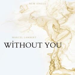 Without You