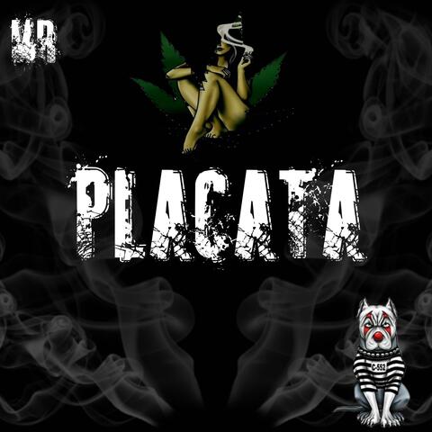 Placata